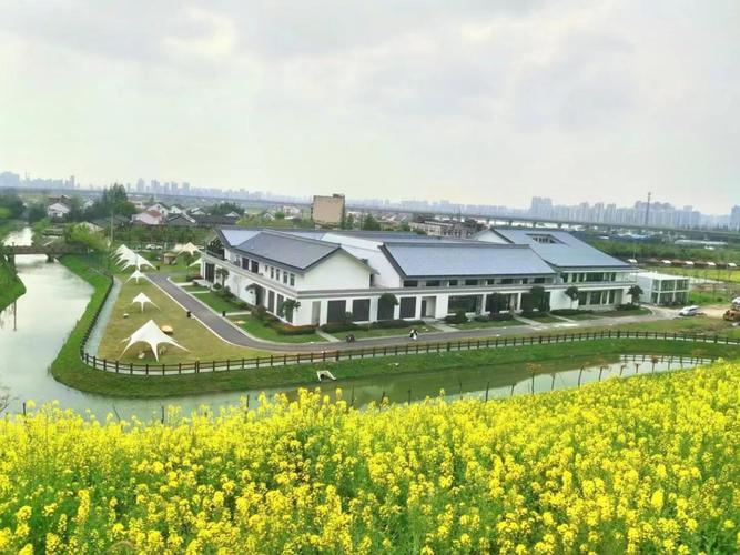 金山乡野新名片 第二批上海市级乡村旅游重点村揭晓，这里凭何上榜？